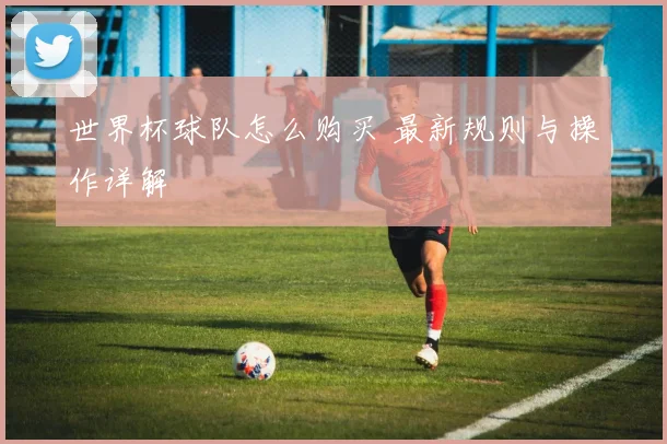 世界杯球队怎么购买 最新规则与操作详解