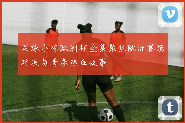 足球小将欧洲杯全集聚焦欧洲赛场对决与青春热血故事
